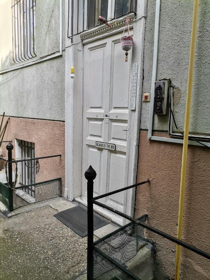 Flat In Historic Villa With Your Own Private Garden, Near City Park Budapest Extérieur photo